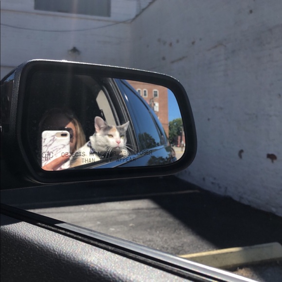 β’ meet the assistants β’ - Picture 13 of 15